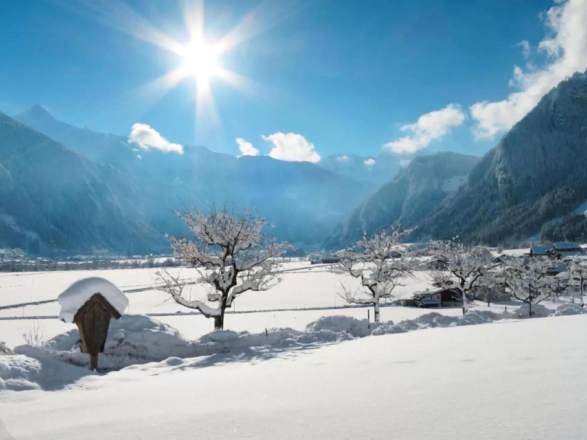 Apartment With Panoramic View Ramsau im Zillertal Exterior photo